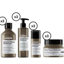 Absolut Repair Molecular Mask Launch Parcel Small - L'Oreal Professionnel | L'Oréal Partner Shop